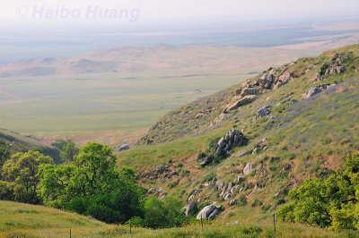 g3/93/895893/3/124058594.ie0B3NGN.jpg