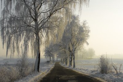 Winter in Masuria