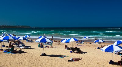 Manly beach with umbrellas
