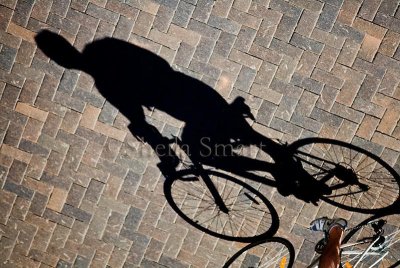 Cyclist shadow