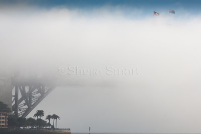 Fog hiding Sydney Harbour Bridge