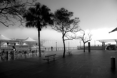 Sydney Harbour in fog