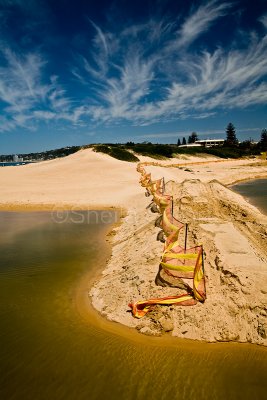 Fence at Narrabeen dunes
