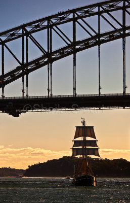 Svanen tallship sailing under Sydney Harbour Bridge