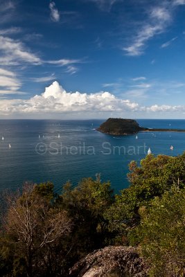 Barrenjoey Headland from West Head, portrait