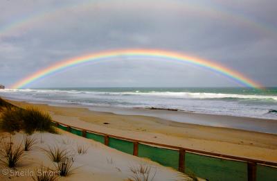 Rainbow at Dunedin