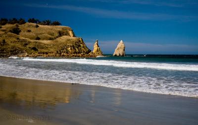 Beach at Karitane