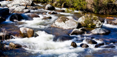 Thredbo river