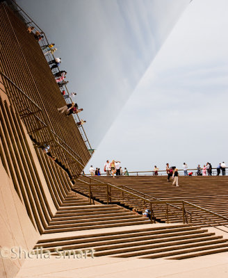 Steps of Sydney Opera House reflection
