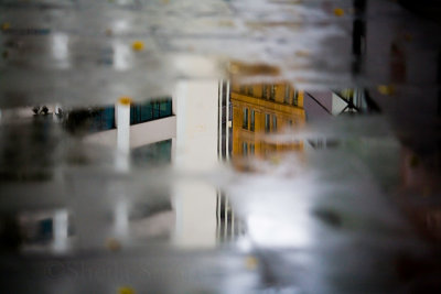 Reflection of buildings in puddle on footpath