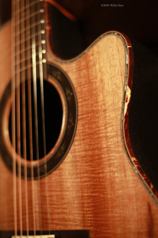 Tortoise Shell binding with  Abalone Purfling