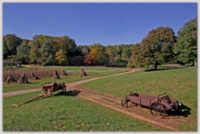 Long Street Farm