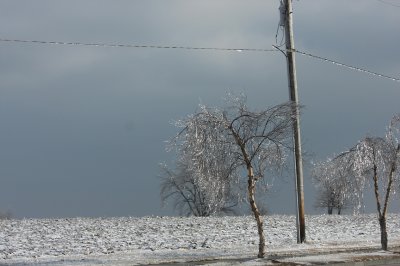 Kansas City Mo weather