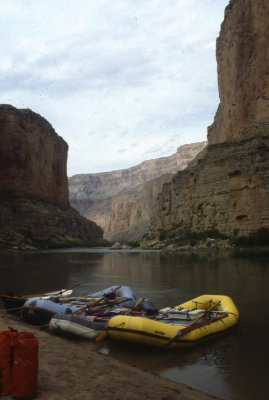 Grand Canyon rafts