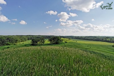 Glacial Park - Hill Area