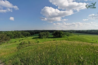 Glacial Park - Trail on the Hill 7