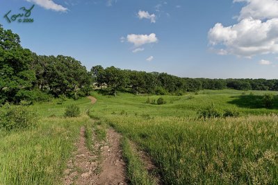 Glacial Park - Trail on the Hill 8