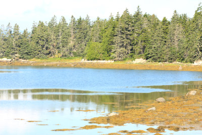 Bay near Schoodic area