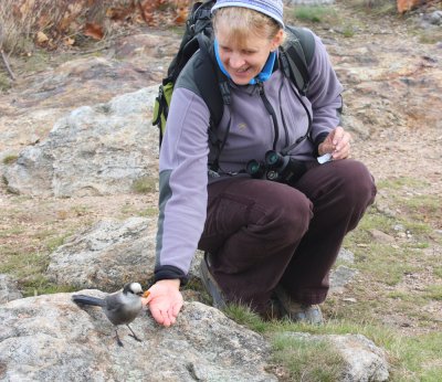 I like these Massachusetts birders!