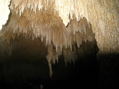 Stalactites in the Cenote