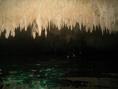 Stalactites in the Cenote