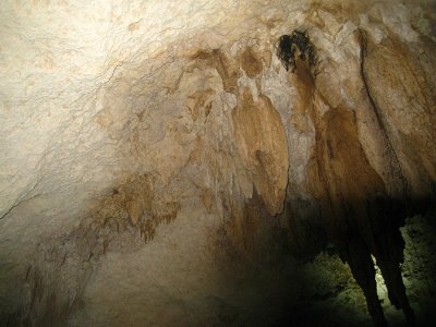 Stalactites in the Cenote