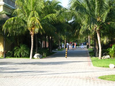 Main pathway through the resort