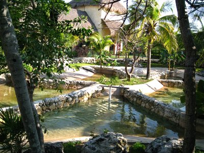 Crocodile enclosure
