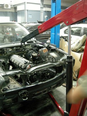 DSCN5295.jpg