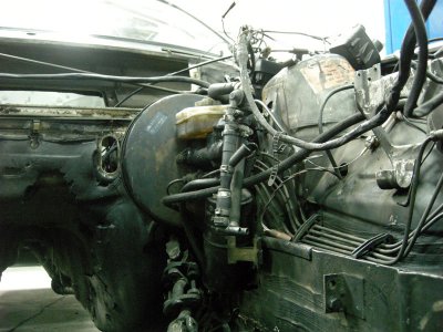 DSCN5383.jpg