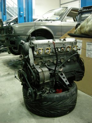DSCN5431.jpg