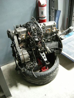 DSCN5574.jpg