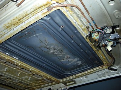 DSCN5940.jpg