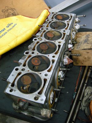 DSCN7964.jpg