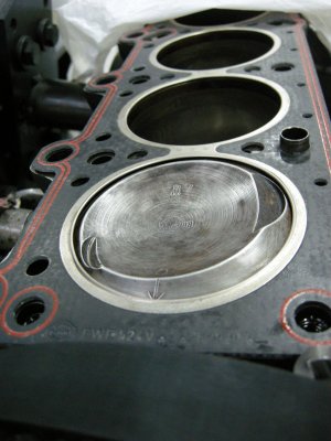 DSCN8065.jpg