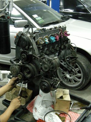 DSCN8175.jpg