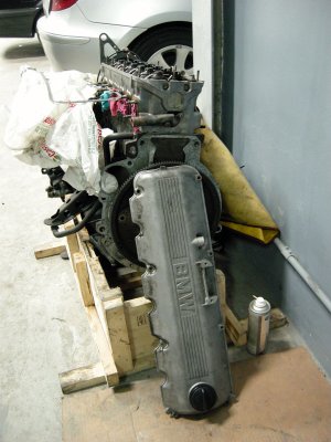 DSCN8964.jpg