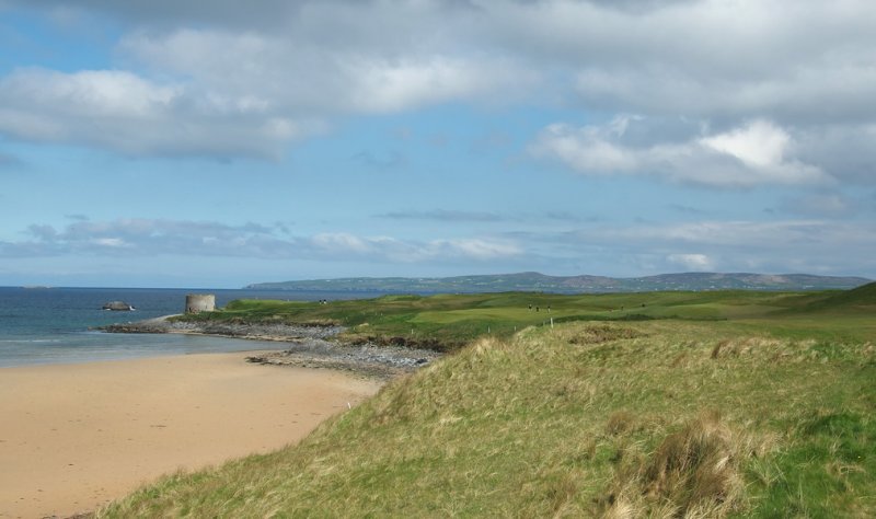 Tralee #8