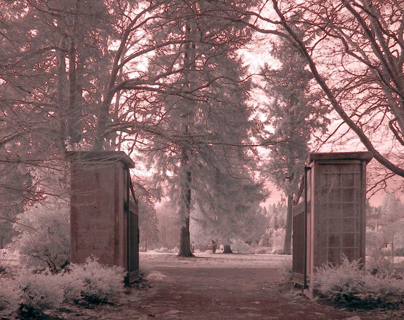 gate.JPG