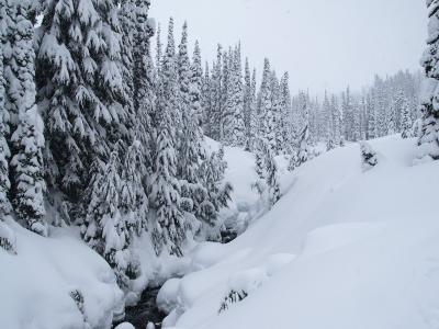 Winter on Rainier