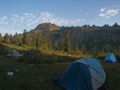 Meander Meadow