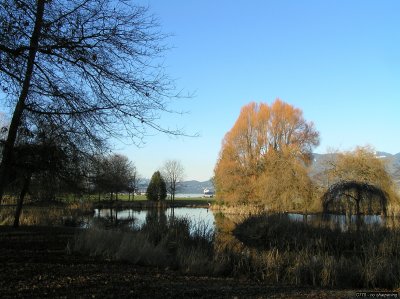 o20091202_204_std.jpg
