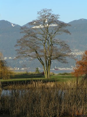o20091202_206_std.jpg