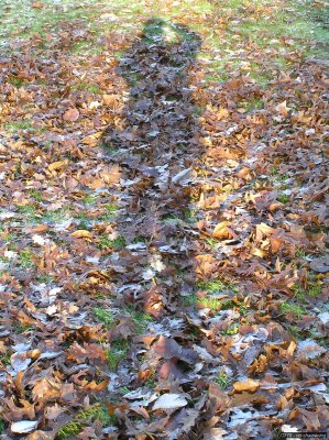 o20091202_215_std.jpg