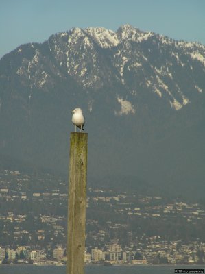 o20091202_247_std.jpg