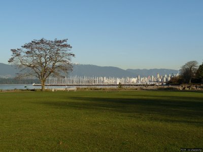 p20091202_267_std.jpg