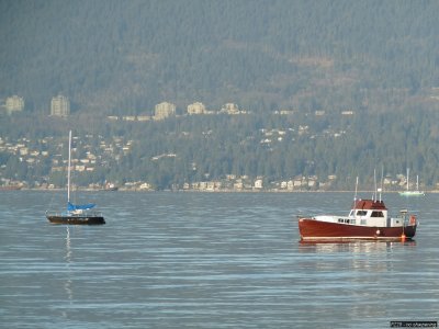 p20091202_273_std.jpg