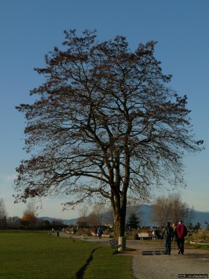 p20091202_291_std.jpg