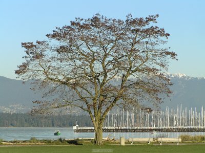 o20091202_230_std.jpg