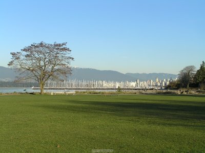 o20091202_232_std.jpg